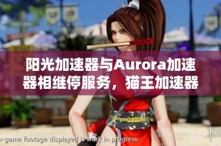 阳光加速器与Aurora加速器相继停服务，猫王加速器成新选择