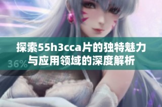 探索55h3cca片的独特魅力与应用领域的深度解析