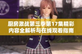 厨房激战第三季第17集精彩内容全解析与在线观看指南