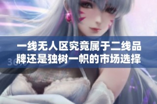 一线无人区究竟属于二线品牌还是独树一帜的市场选择