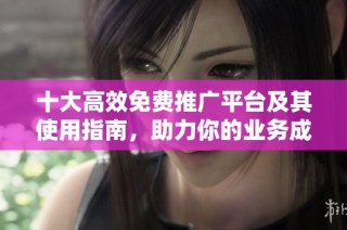 十大高效免费推广平台及其使用指南，助力你的业务成功