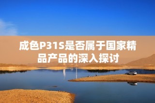 成色P31S是否属于国家精品产品的深入探讨
