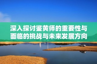 深入探讨鉴黄师的重要性与面临的挑战与未来发展方向