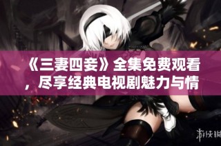 《三妻四妾》全集免费观看，尽享经典电视剧魅力与情感纠葛
