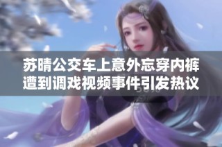 苏晴公交车上意外忘穿内裤遭到调戏视频事件引发热议