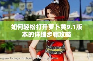 如何轻松打开萝卜黄9.1版本的详细步骤攻略