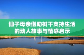 仙子母亲借助树干支持生活的动人故事与情感启示