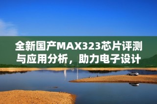 全新国产MAX323芯片评测与应用分析，助力电子设计新时代