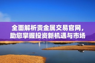 全面解析贵金属交易官网，助您掌握投资新机遇与市场动态