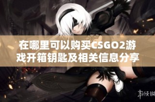 在哪里可以购买CSGO2游戏开箱钥匙及相关信息分享