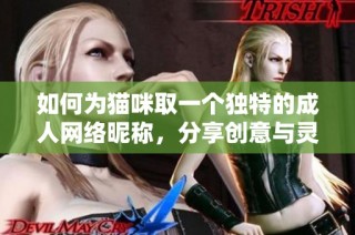 如何为猫咪取一个独特的成人网络昵称，分享创意与灵感