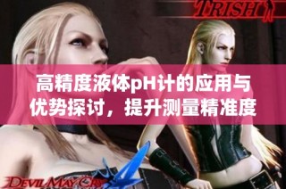 高精度液体pH计的应用与优势探讨，提升测量精准度的利器