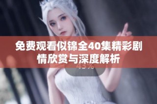 免费观看似锦全40集精彩剧情欣赏与深度解析