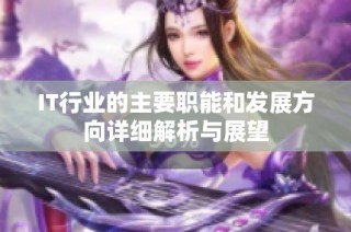 IT行业的主要职能和发展方向详细解析与展望