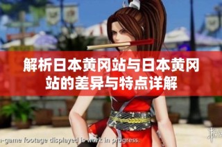 解析日本黄冈站与日本黄冈站的差异与特点详解
