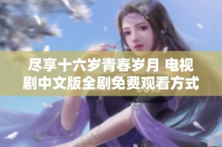 尽享十六岁青春岁月 电视剧中文版全剧免费观看方式揭秘