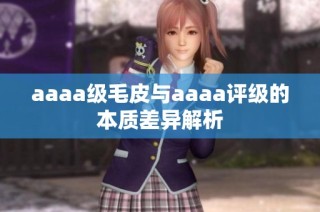 aaaa级毛皮与aaaa评级的本质差异解析