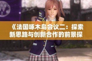 《法国啄木鸟会议二：探索新思路与创新合作的前景探讨》