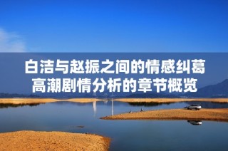白洁与赵振之间的情感纠葛高潮剧情分析的章节概览