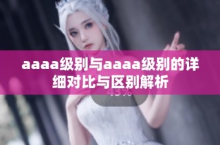 aaaa级别与aaaa级别的详细对比与区别解析