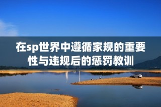 在sp世界中遵循家规的重要性与违规后的惩罚教训