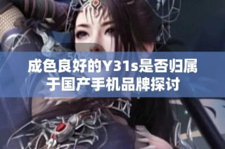 成色良好的Y31s是否归属于国产手机品牌探讨
