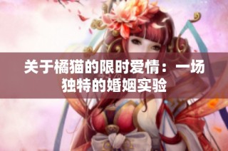 关于橘猫的限时爱情：一场独特的婚姻实验