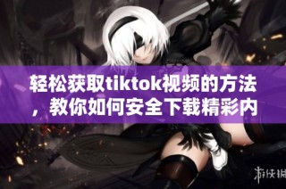 轻松获取tiktok视频的方法，教你如何安全下载精彩内容
