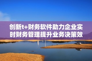 创新t+财务软件助力企业实时财务管理提升业务决策效率