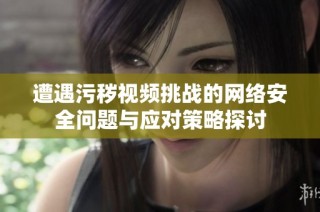 遭遇污秽视频挑战的网络安全问题与应对策略探讨