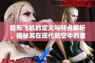 隐形飞机的定义与特点解析，揭秘其在现代航空中的重要性