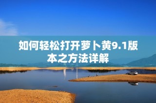 如何轻松打开萝卜黄9.1版本之方法详解