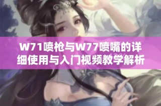 W71喷枪与W77喷嘴的详细使用与入门视频教学解析