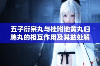 五子衍宗丸与桂附地黄丸归脾丸的相互作用及其益处解析