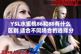 YSL水蜜桃86和88有什么区别 适合不同场合的选择分析