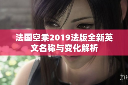 法国空乘2019法版全新英文名称与变化解析