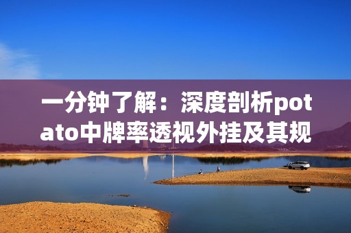 一分钟了解：深度剖析potato中牌率透视外挂及其规矩