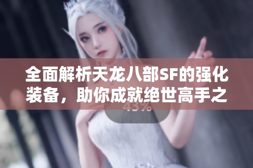 全面解析天龙八部SF的强化装备，助你成就绝世高手之路