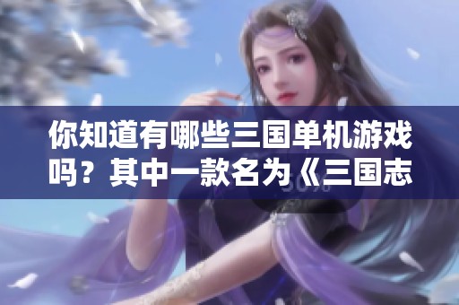 你知道有哪些三国单机游戏吗?其中一款名为《三国志》 你知道有哪些三国单机游戏吗?其中一款名为《三国志》