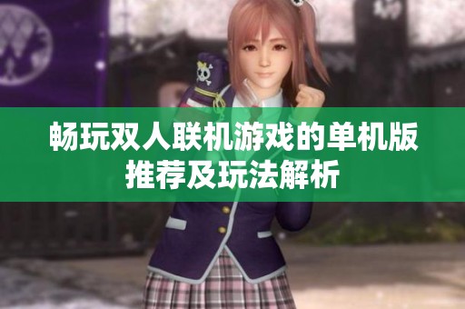 畅玩双人联机游戏的单机版推荐及玩法解析