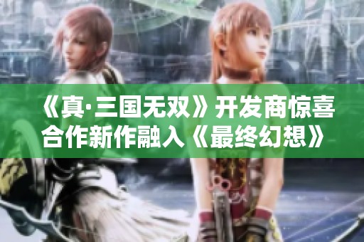 《真·三国无双》开发商惊喜合作新作融入《最终幻想》元素