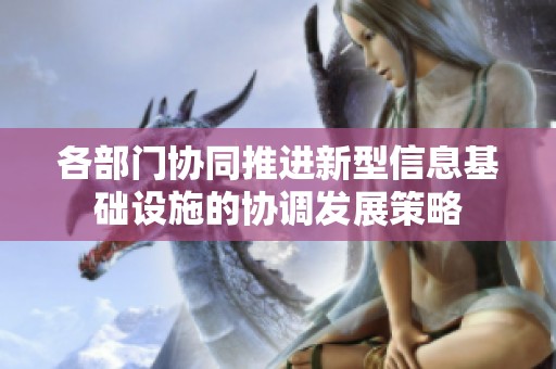 各部门协同推进新型信息基础设施的协调发展策略