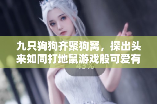 九只狗狗齐聚狗窝，探出头来如同打地鼠游戏般可爱有趣