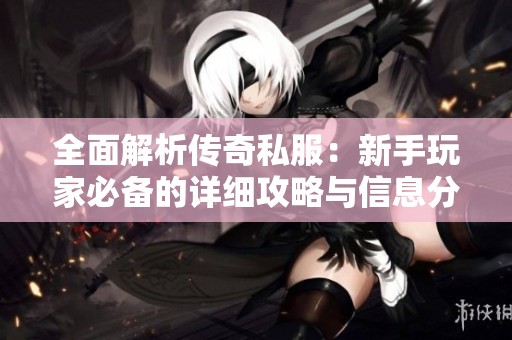 全面解析传奇私服：新手玩家必备的详细攻略与信息分享