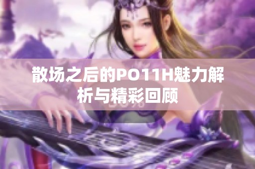 散场之后的PO11H魅力解析与精彩回顾