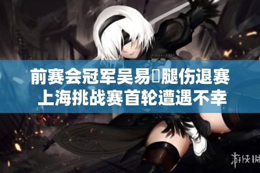 前赛会冠军吴易昺腿伤退赛 上海挑战赛首轮遭遇不幸