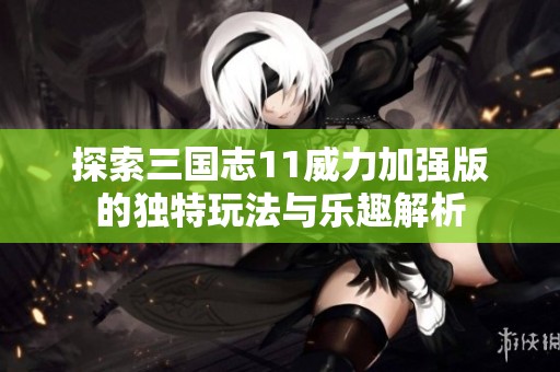 探索三国志11威力加强版的独特玩法与乐趣解析