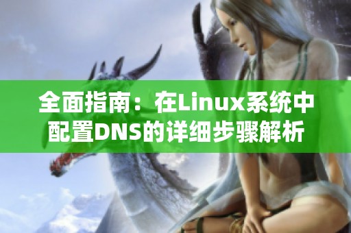全面指南：在Linux系统中配置DNS的详细步骤解析