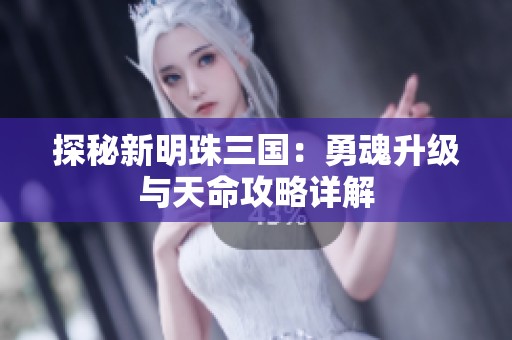 探秘新明珠三国：勇魂升级与天命攻略详解