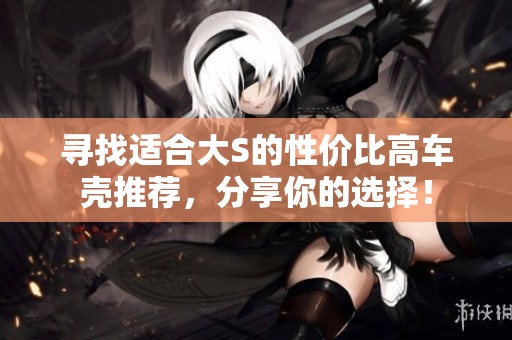 寻找适合大S的性价比高车壳推荐，分享你的选择！